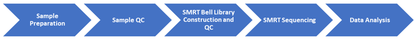 Workflow of Our PacBio SMRT Sequencing Service
