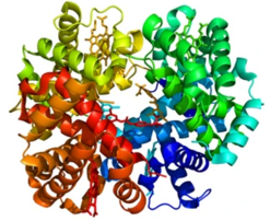 Structural Proteomics Analysis