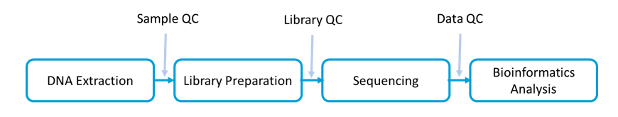 Workflow and Bioinformatics Analysis