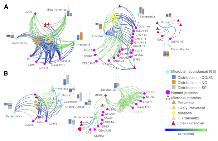 Intestinal Metaproteomics Reveals Host-Microbiota Interactions