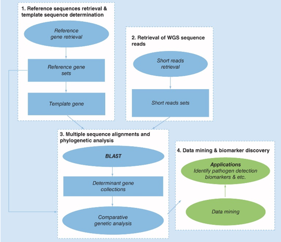 Schematic representation of the proposed bioinformatics pipeline for biomarker discovery by WGS