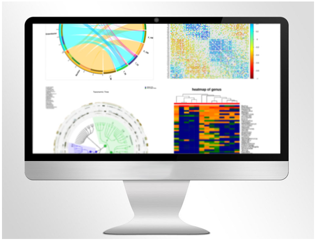 Bioinformatics Analysis