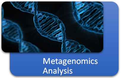 Bioinformatics Analysis