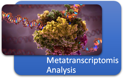 Bioinformatics Analysis