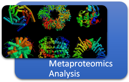 Bioinformatics Analysis