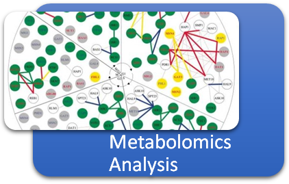 Bioinformatics Analysis