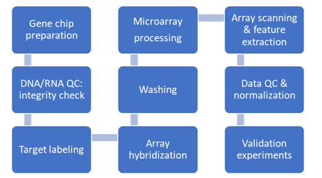 DNA Microarray Services