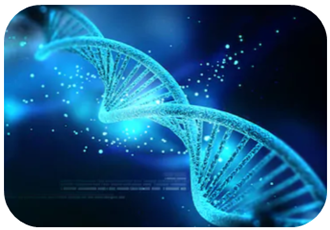 Oligonucleotide synthesis services