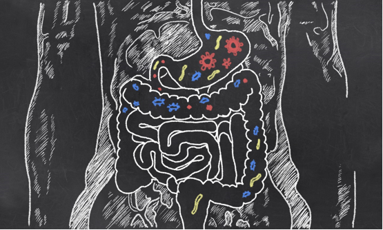 Gut Genomics Analysis