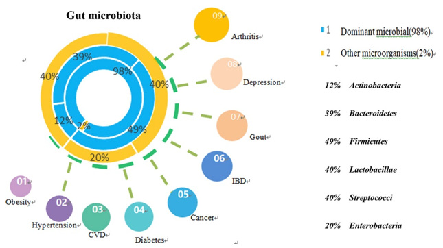 The commensal microbes that relate to some common diseases.