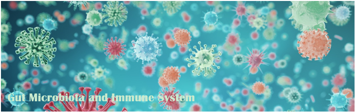 Gut Microbiota and Immune System