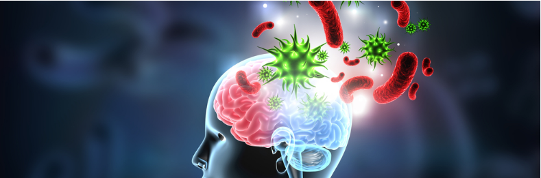 Gut Microbiota and Mental Disorders