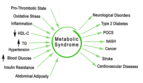 Gut Microbiota and Metabolic Disorders