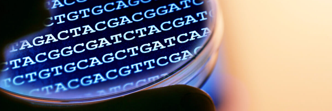 Gut Pathogen Identification