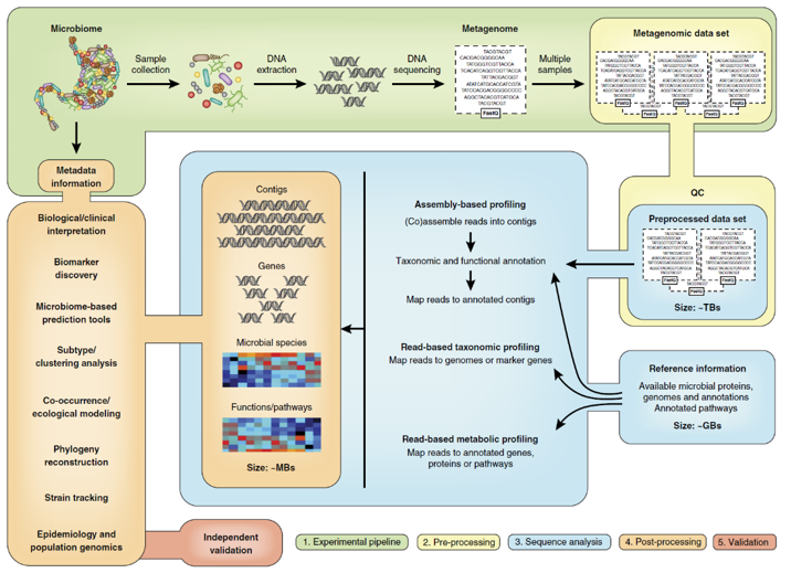 Summary of a metagenomics workflow