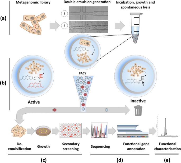 Application of microfluidics in microbiome research