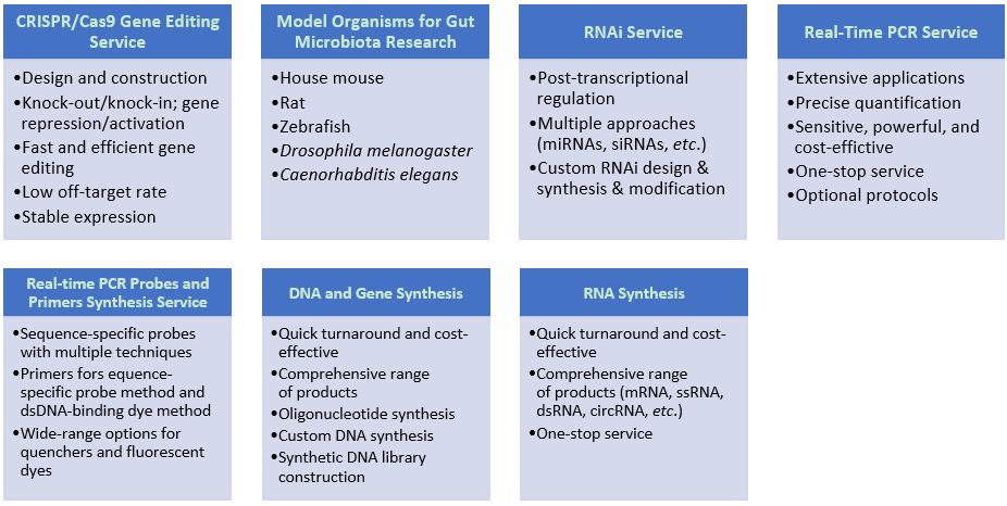 Other Gut Microbiota Services