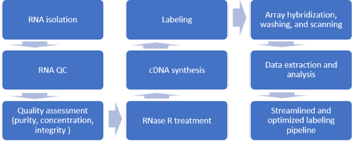 Piwi-interacting RNA (piRNA) Profiling Services