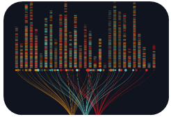 Functional Genomics