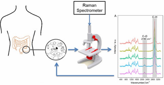 Raman Spectrometry-Based Metabolomic Analysis