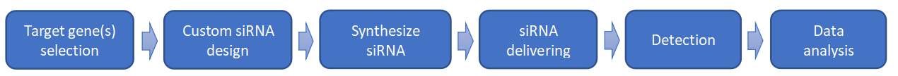 Small Interfering RNA (siRNA) Services