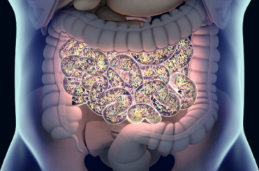 Monitoring Host Responses to the Gut Microbiota