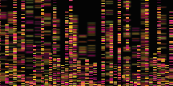 Long-Read Sequencing