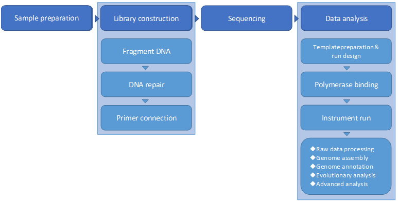 Long-Read Sequencing