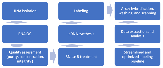 circRNA Profiling Service