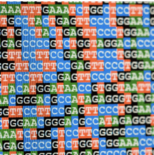 Gut Metatranscriptomics Analysis