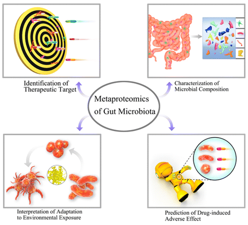 Liquid Chromatography–Tandem Mass Spectrometry (LC-MS/MS) Services