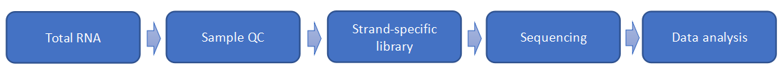 lncRNA Profiling Service