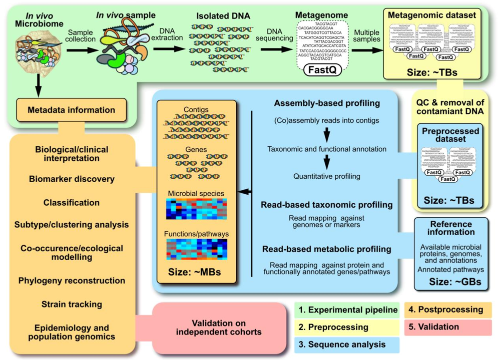 Summary of a metagenomics workflow