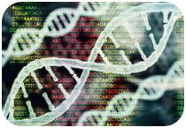 de novo sequencing