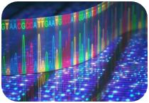 genome resequencing