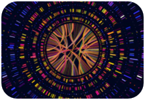 total RNA sequencing