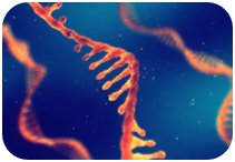 mRNA sequencing