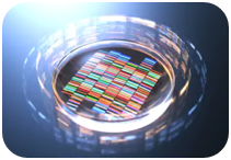 circRNA sequencing