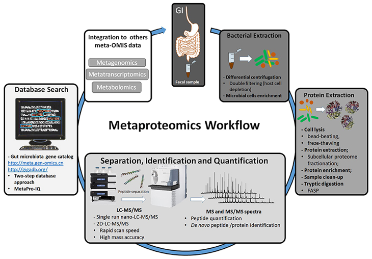 Sample Preparation Service