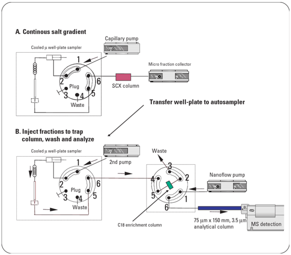Two-Dimensional Liquid Chromatography (2D-LC) Services