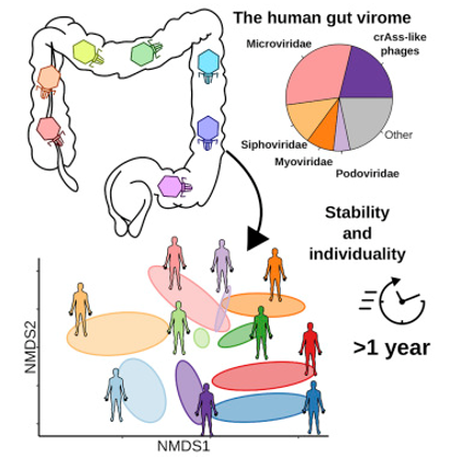 Virome Sequencing