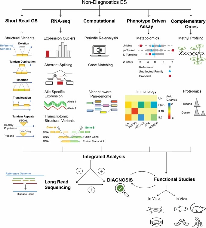 Fig. 1. Technologies and methods to diagnose rare diseases when exome sequencing is unrevealing. (Marwaha et al., 2022)