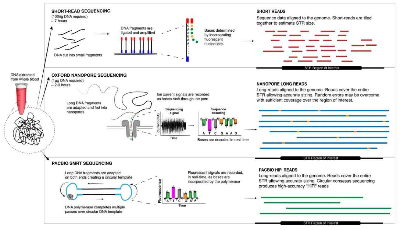 Fig. 1. NGS and Long-read sequencing for diagnosing short tandem repeat expansions. (Chintalaphani et al., 2021)