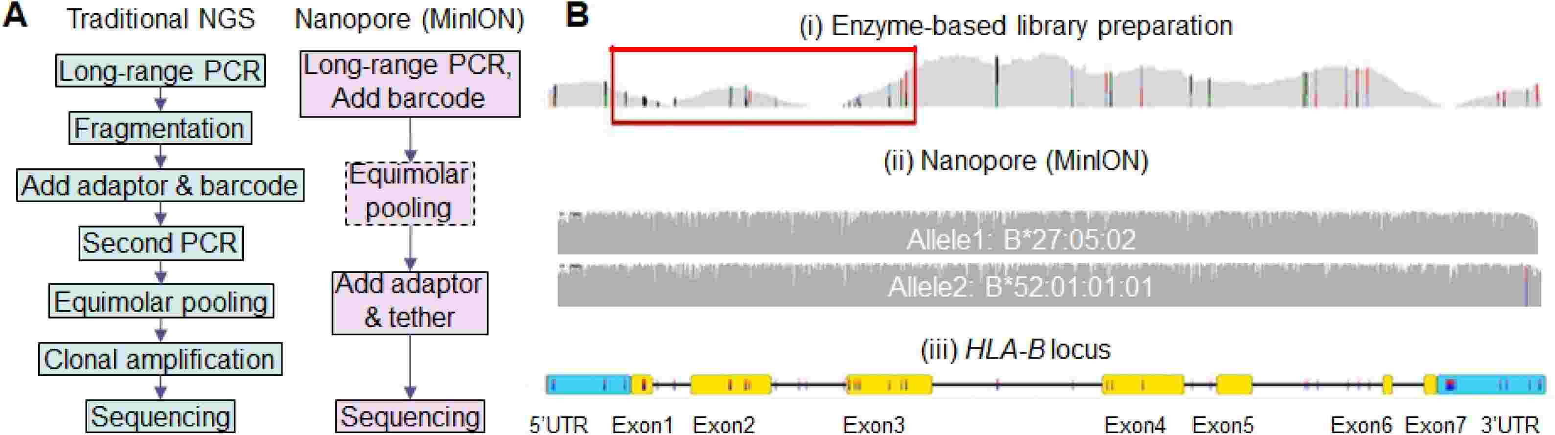 Fig. 1. Gaps in HLA typing technologies. (Liu et al., 2021)