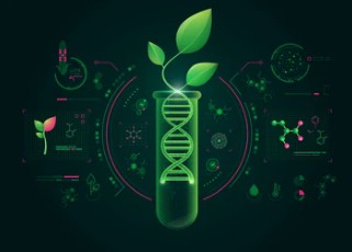 Long Read Sequencing for Plant and Animal Genetic Engineering