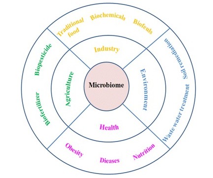 The application of microbiome in industry, agriculture, health, and environment.