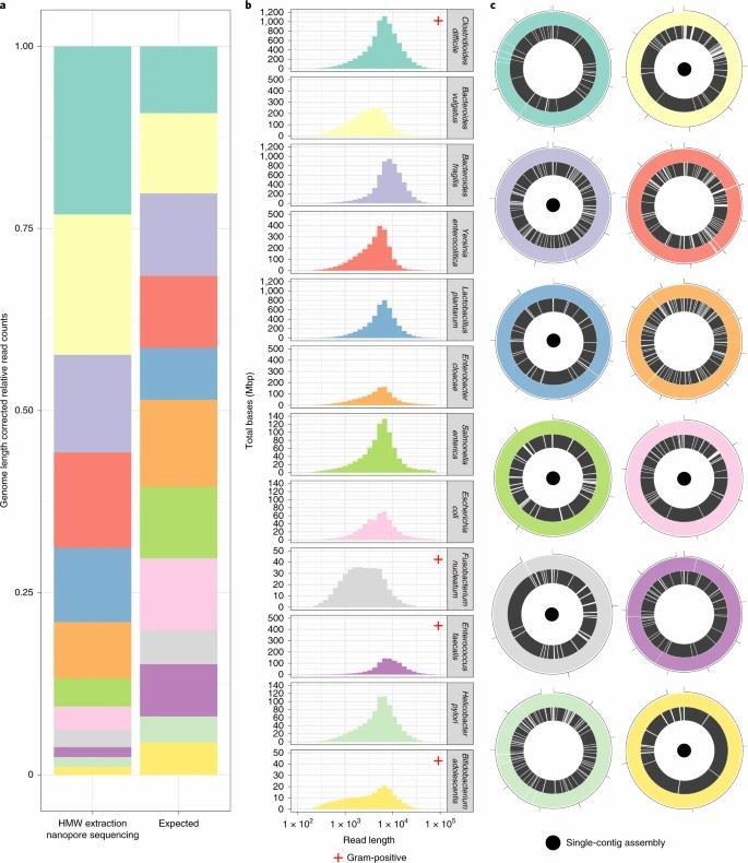 Taxonomic read composition, per-organism read-length distributions and genome assemblies in a defined 12-species bacterial mixture.