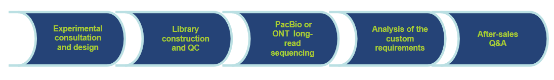 Our Service Workflow-CD Genomics.