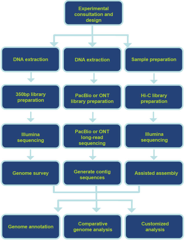 Our Technology Pipeline-CD Genomics