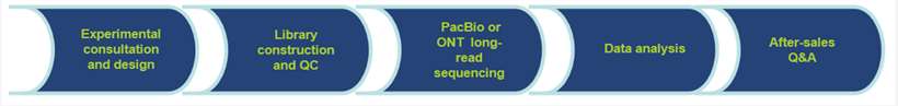 Workflow of Our Animal Plant Whole Genome Sequencing Services-CD Genomics.